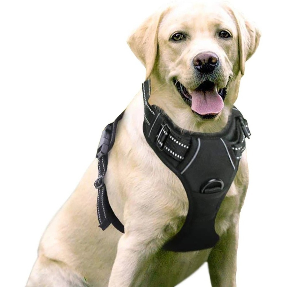 Purple Reflective Dog Harness  - огляд і ціна D Ring Strap