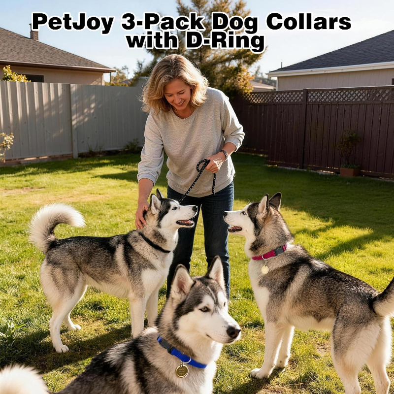Dog Shock Collar Replacement S - огляд і ціна D Ring Strap